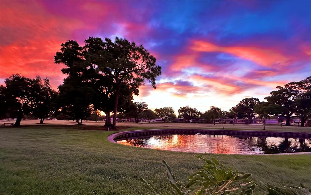 1100 South Belcher Road, Unit 152 Largo, FL 33771 - Photo 3 of 19 a view of swimming pool and outdoor seating