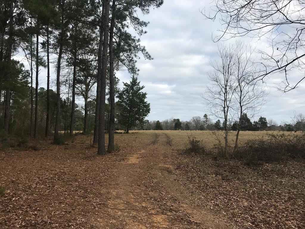1 Pike County Line Road Summit, MS 39666 - Photo 1 of 27 Main View
