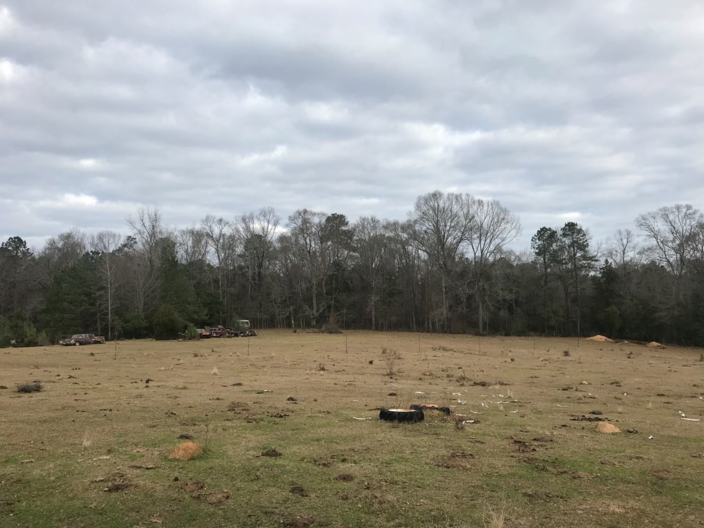 1 Pike County Line Road Summit, MS 39666 - Photo 11 of 27 Photo 11