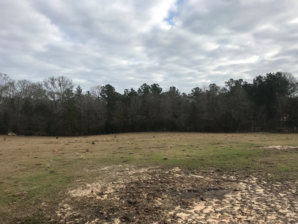 1 Pike County Line Road Summit, MS 39666 - Photo 12 of 27 Photo 12