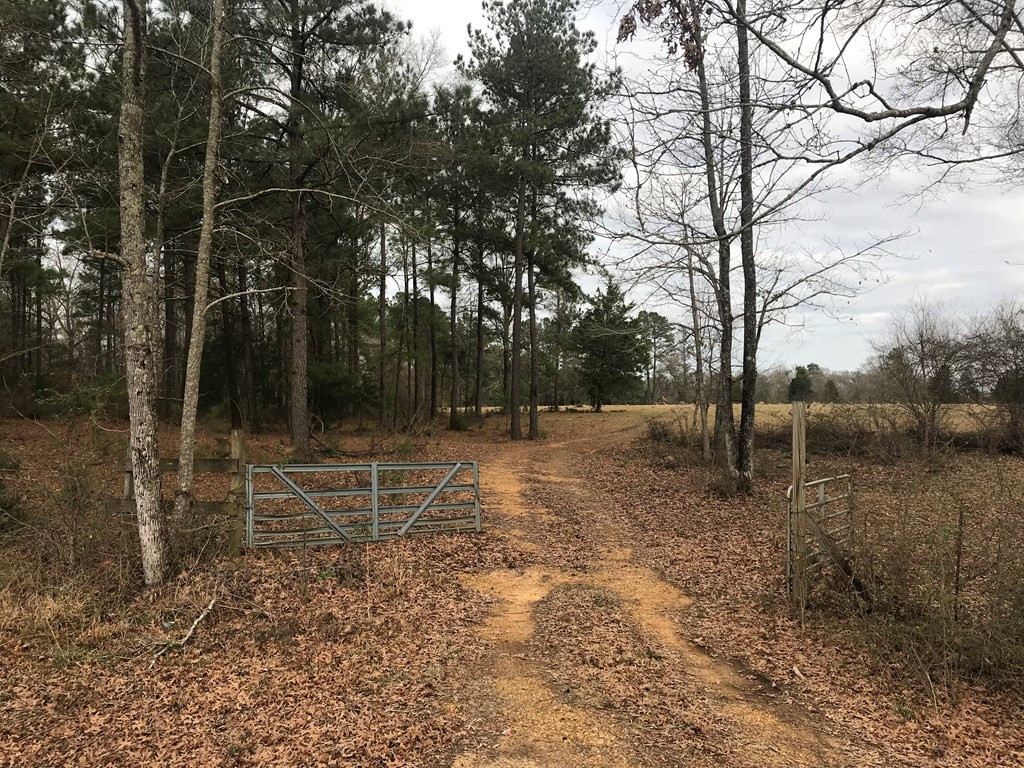 1 Pike County Line Road Summit, MS 39666 - Photo 13 of 27 Photo 13