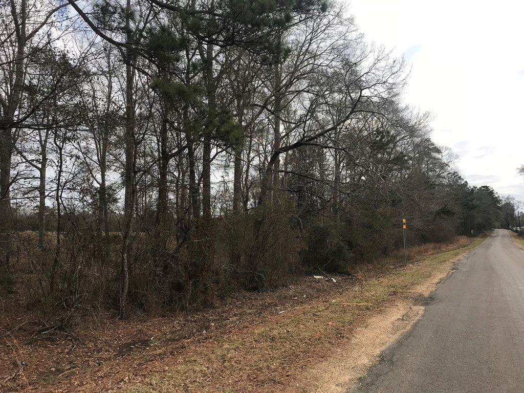 1 Pike County Line Road Summit, MS 39666 - Photo 15 of 27 Photo 15