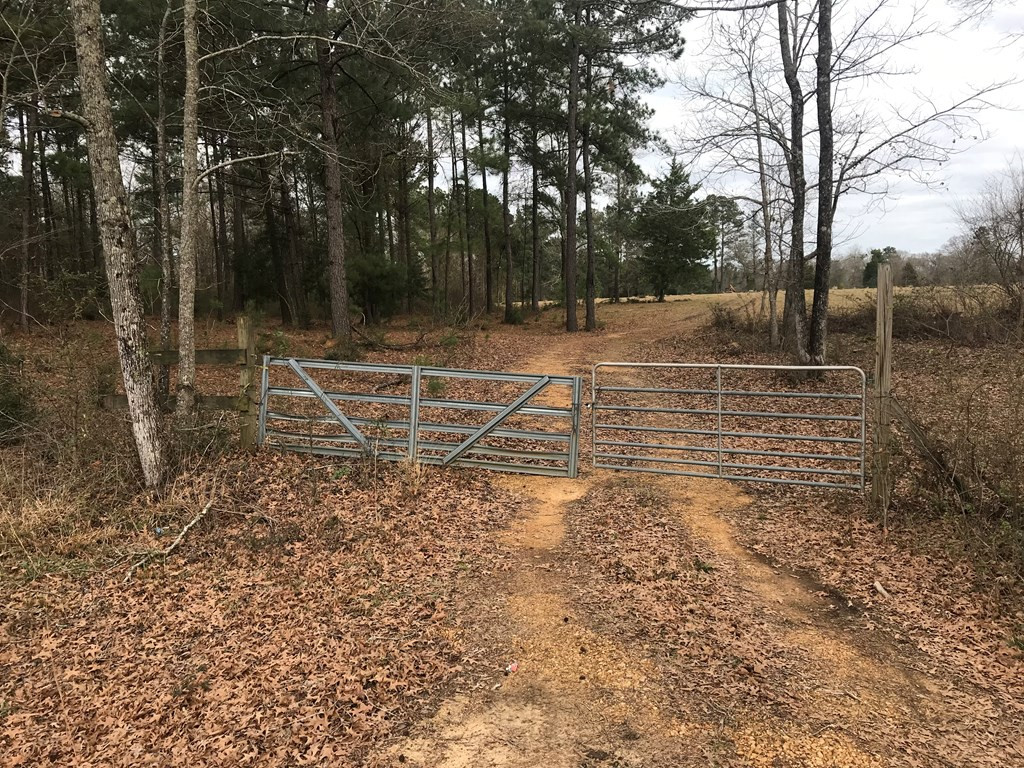 1 Pike County Line Road Summit, MS 39666 - Photo 16 of 27 Photo 16