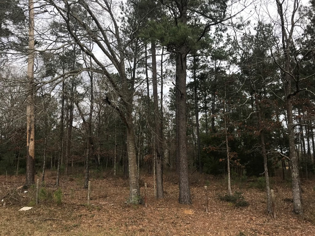 1 Pike County Line Road Summit, MS 39666 - Photo 18 of 27 Photo 18