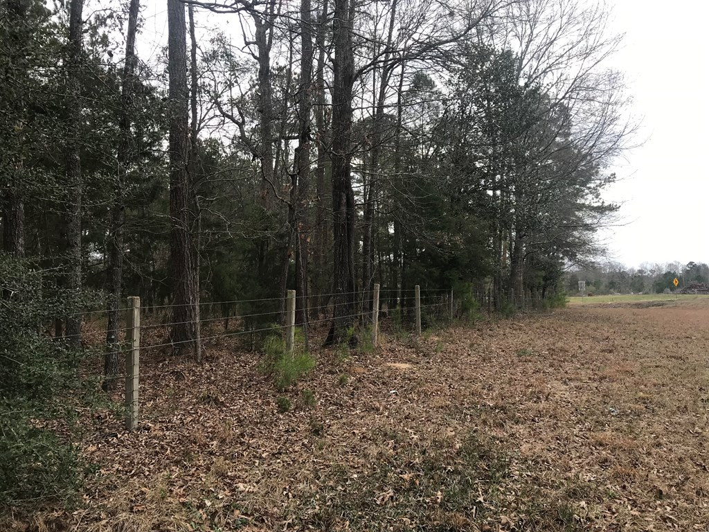 1 Pike County Line Road Summit, MS 39666 - Photo 21 of 27 Photo 21