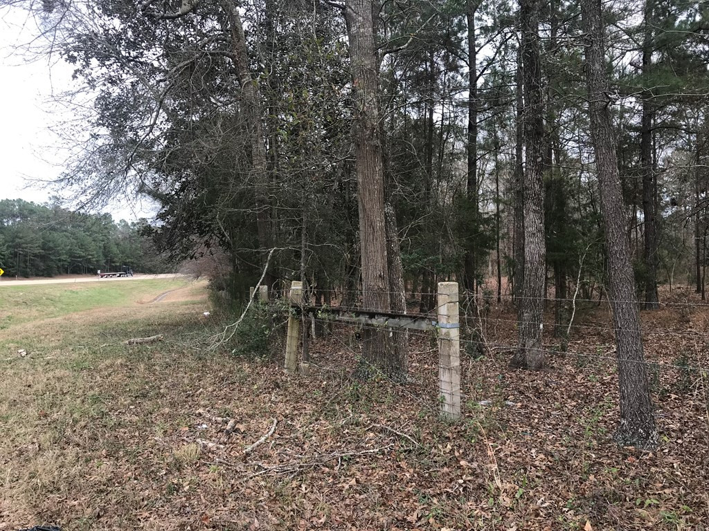 1 Pike County Line Road Summit, MS 39666 - Photo 22 of 27 Photo 22
