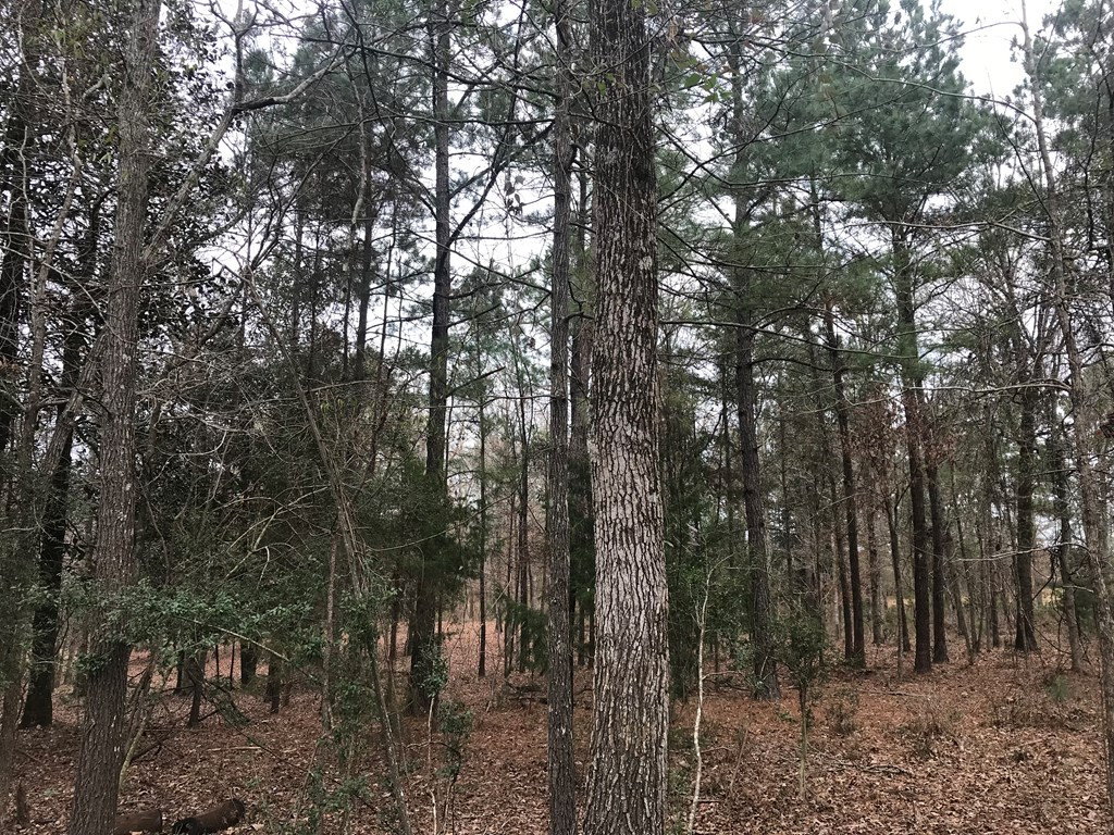 1 Pike County Line Road Summit, MS 39666 - Photo 23 of 27 Photo 23