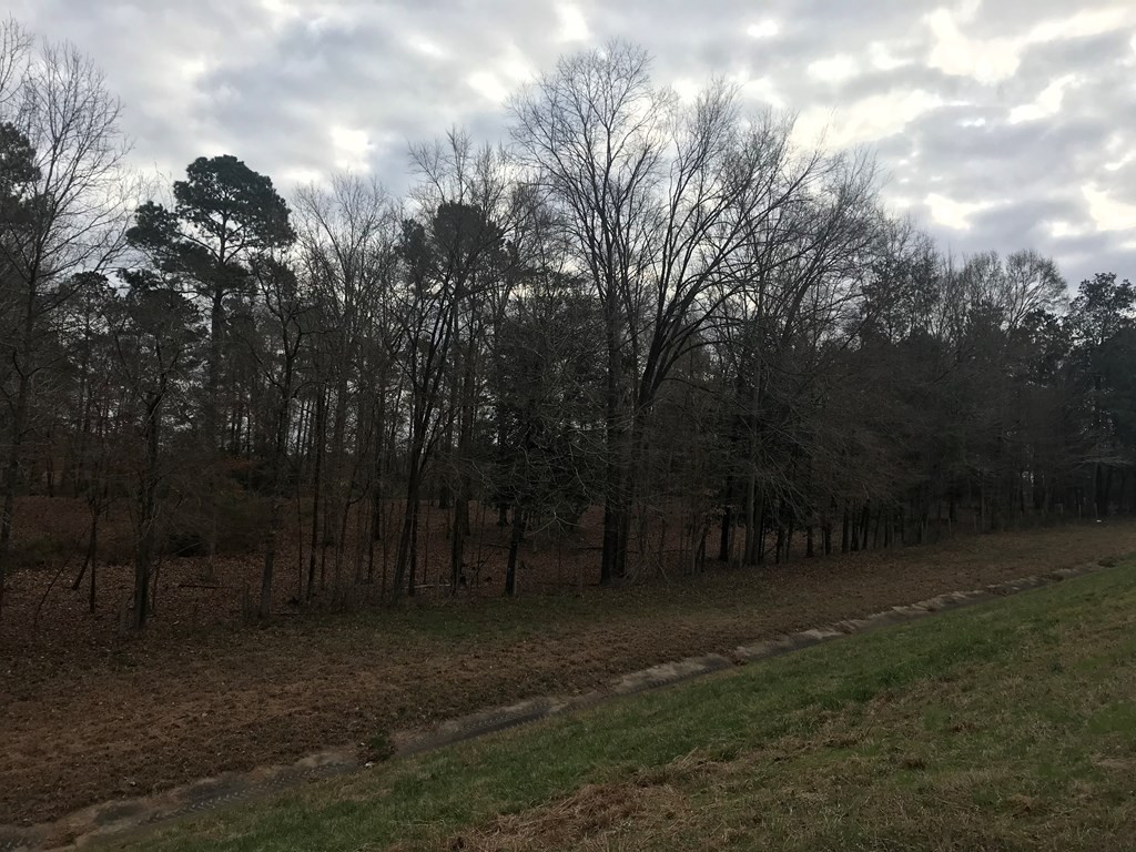 1 Pike County Line Road Summit, MS 39666 - Photo 24 of 27 Photo 24