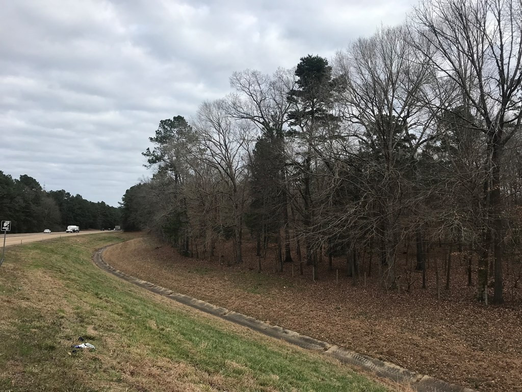 1 Pike County Line Road Summit, MS 39666 - Photo 25 of 27 Photo 25