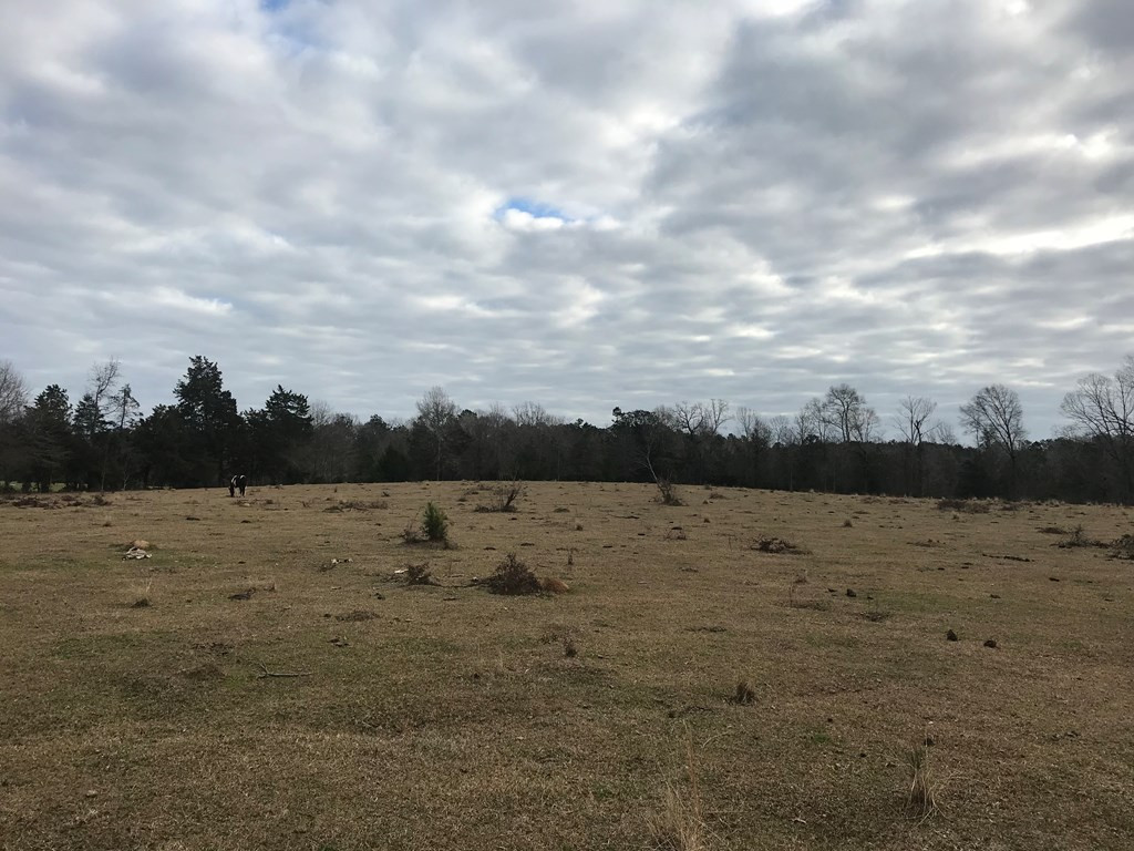 1 Pike County Line Road Summit, MS 39666 - Photo 5 of 27 Photo 5