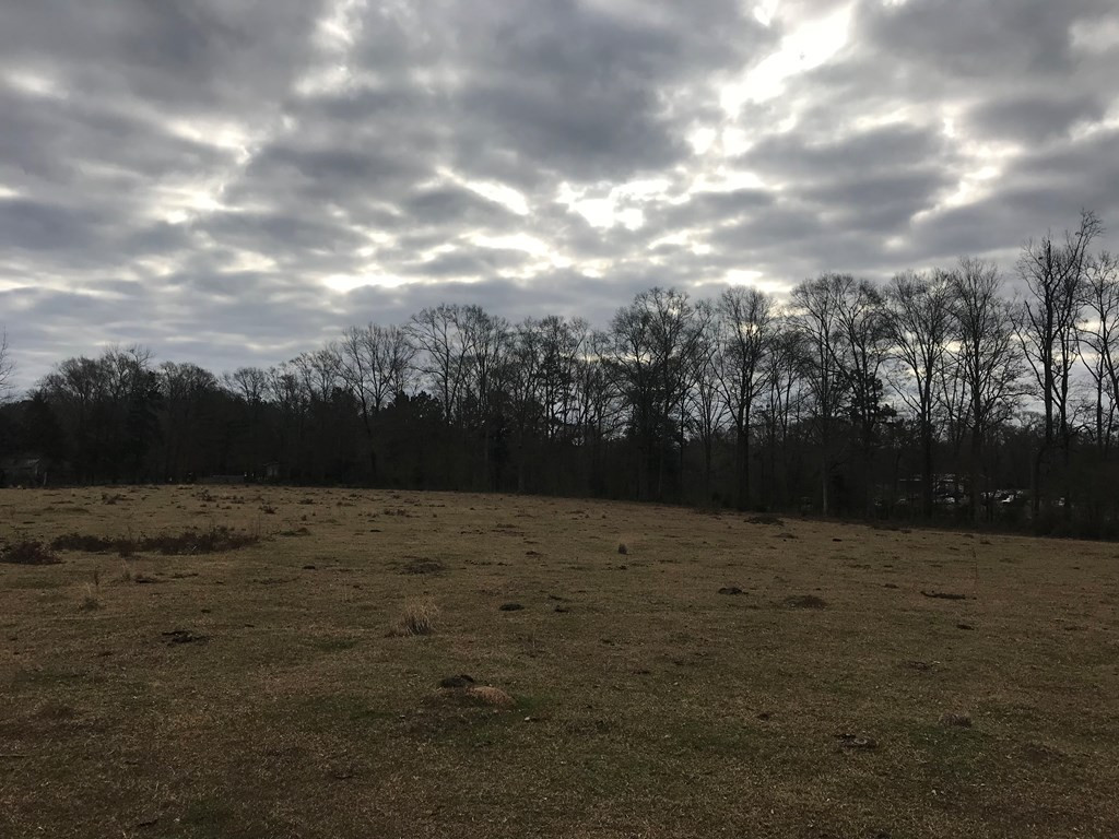 1 Pike County Line Road Summit, MS 39666 - Photo 6 of 27 Photo 6