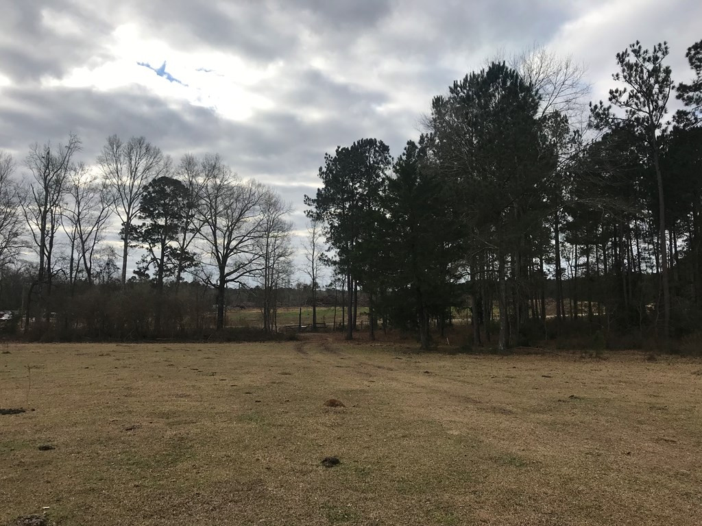 1 Pike County Line Road Summit, MS 39666 - Photo 7 of 27 Photo 7