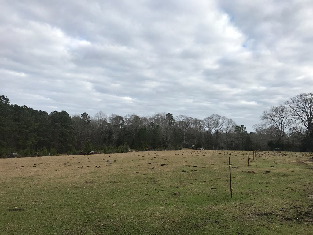 1 Pike County Line Road Summit, MS 39666 - Photo 9 of 27 Photo 9