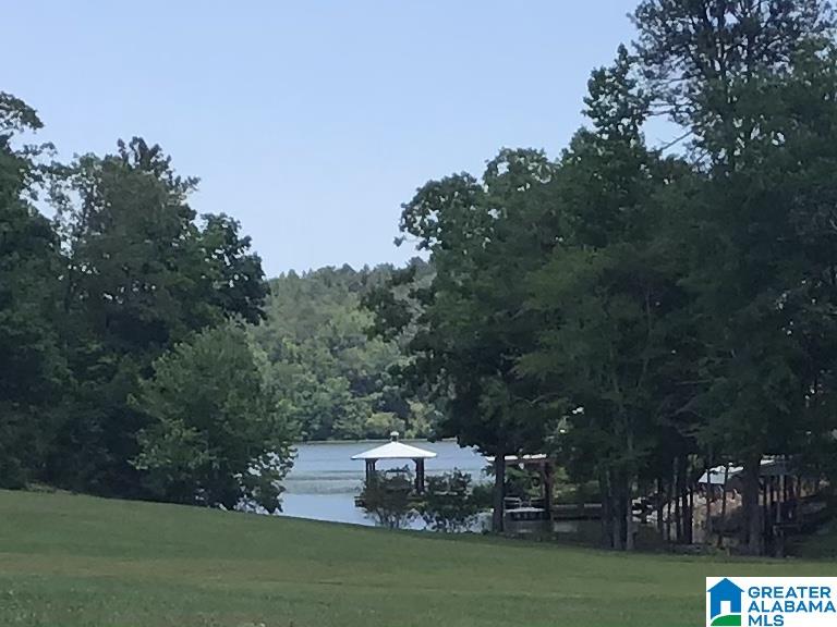 160 Perkins Landing Road Columbiana, AL 35051 - Photo 4 of 28