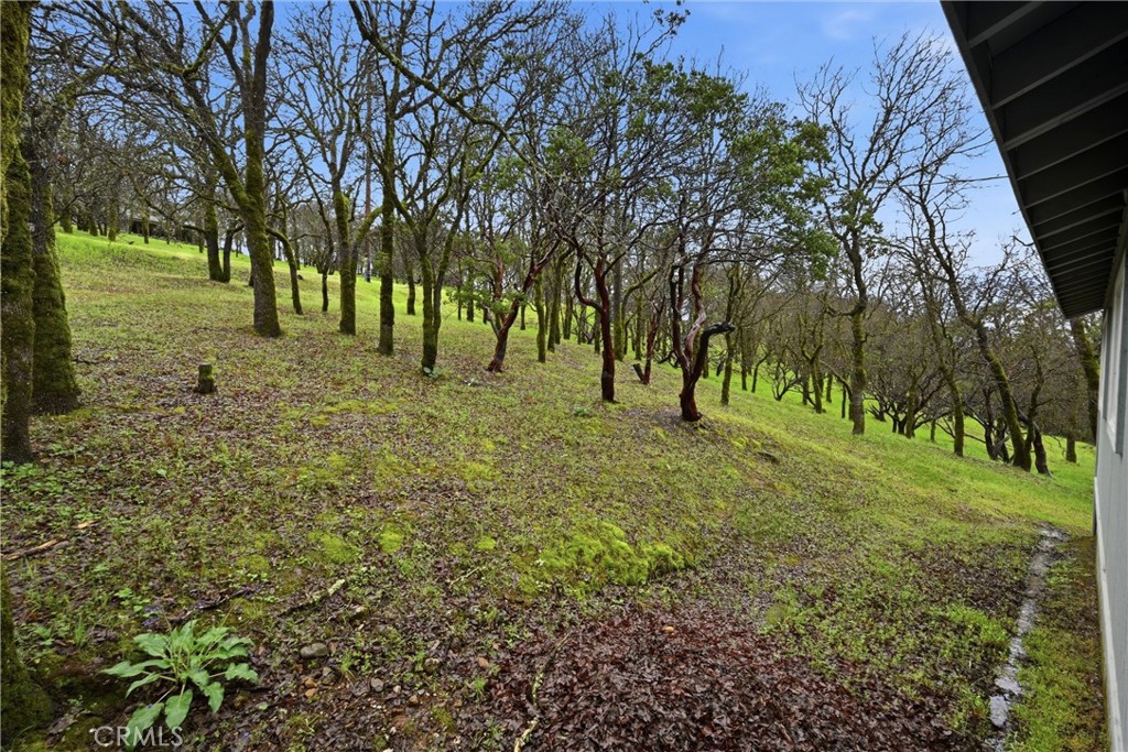 19474 Donkey Hill Road Hidden Valley Lake, CA 95467 - Photo 26 of 38 Natural wooded parcel.