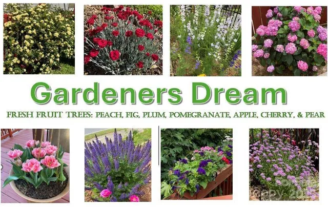 $379,000 | 3755 Brookchase Lane, Charlotte, NC 28205