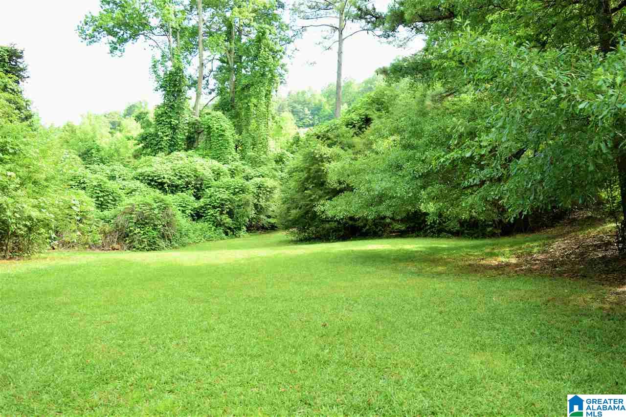 56411 Highway 231 Oneonta, AL 35121 - Photo 26 of 50