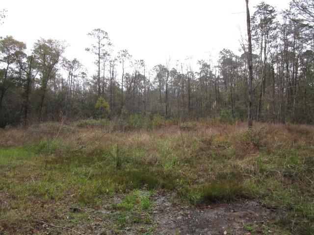 0 Sticker Bay Road Lacombe, LA 70445 - Photo 5 of 9