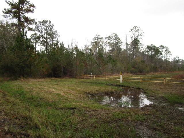 0 Sticker Bay Road Lacombe, LA 70445 - Photo 8 of 9