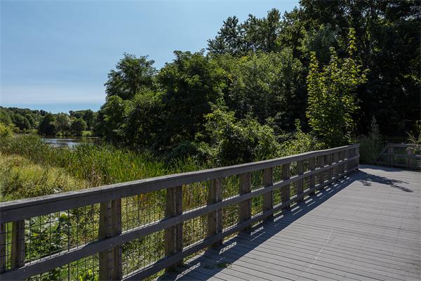34 Reed Street Arlington, MA 02474 - Photo 13 of 14 Gallery Image 13