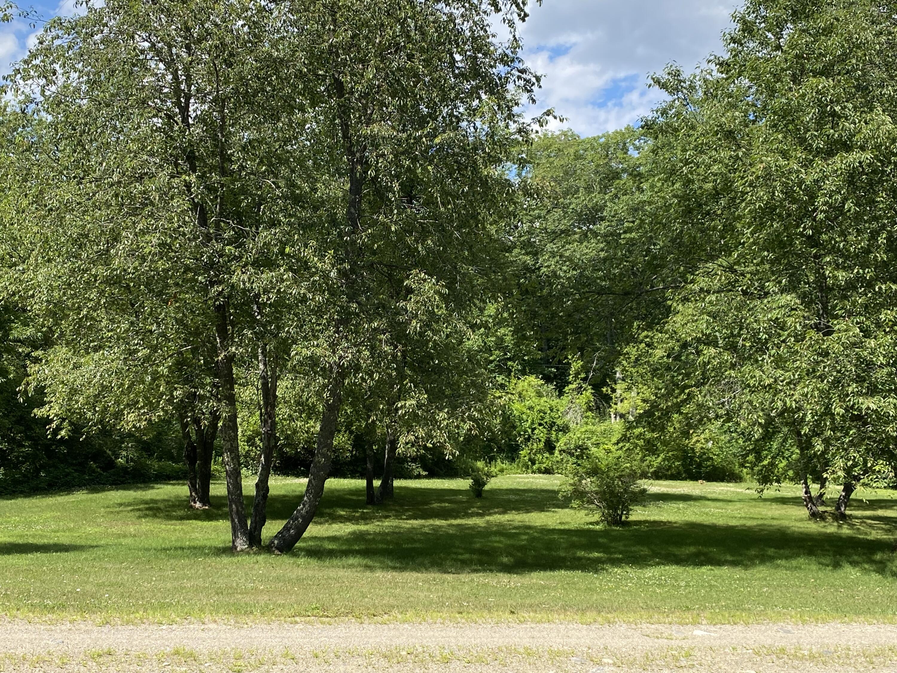 27 Cross Road Morrill, ME 04952 - Photo 51 of 54 Grassy area with trees