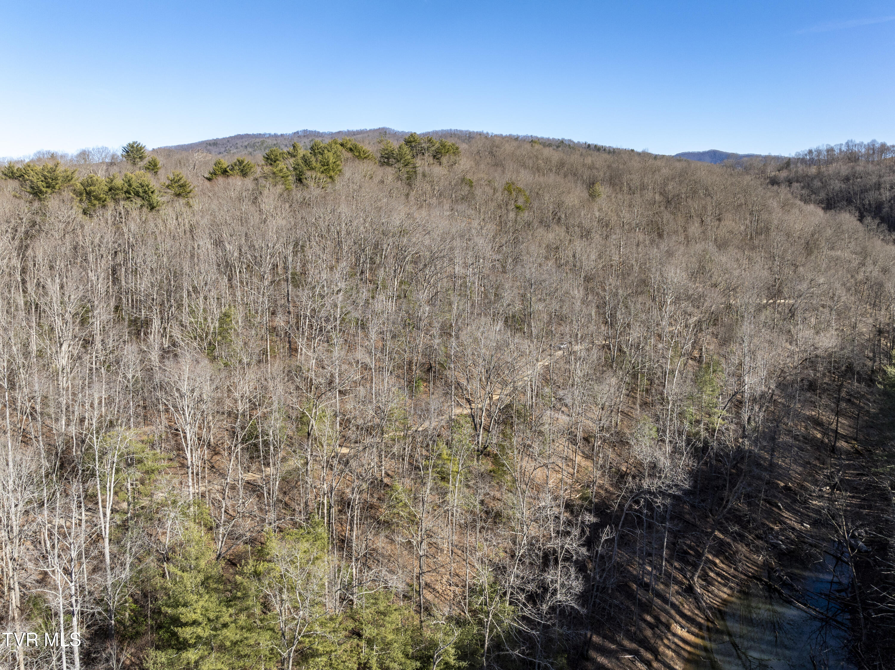 Tbd Atwood Point Butler, TN 37640 - Photo 21 of 24 Atwood-Aerials-21