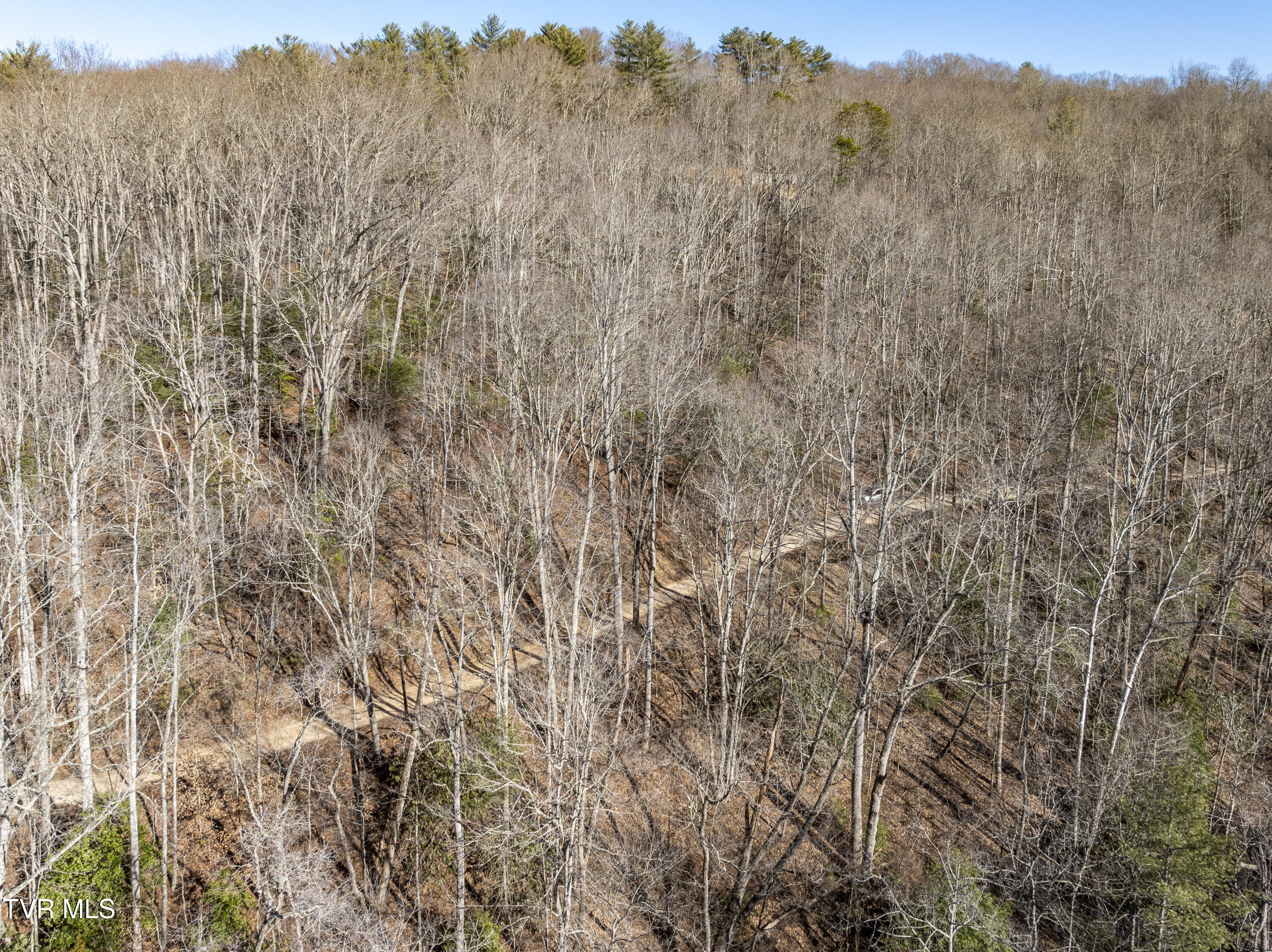 Tbd Atwood Point Butler, TN 37640 - Photo 23 of 24 Atwood-Aerials-23