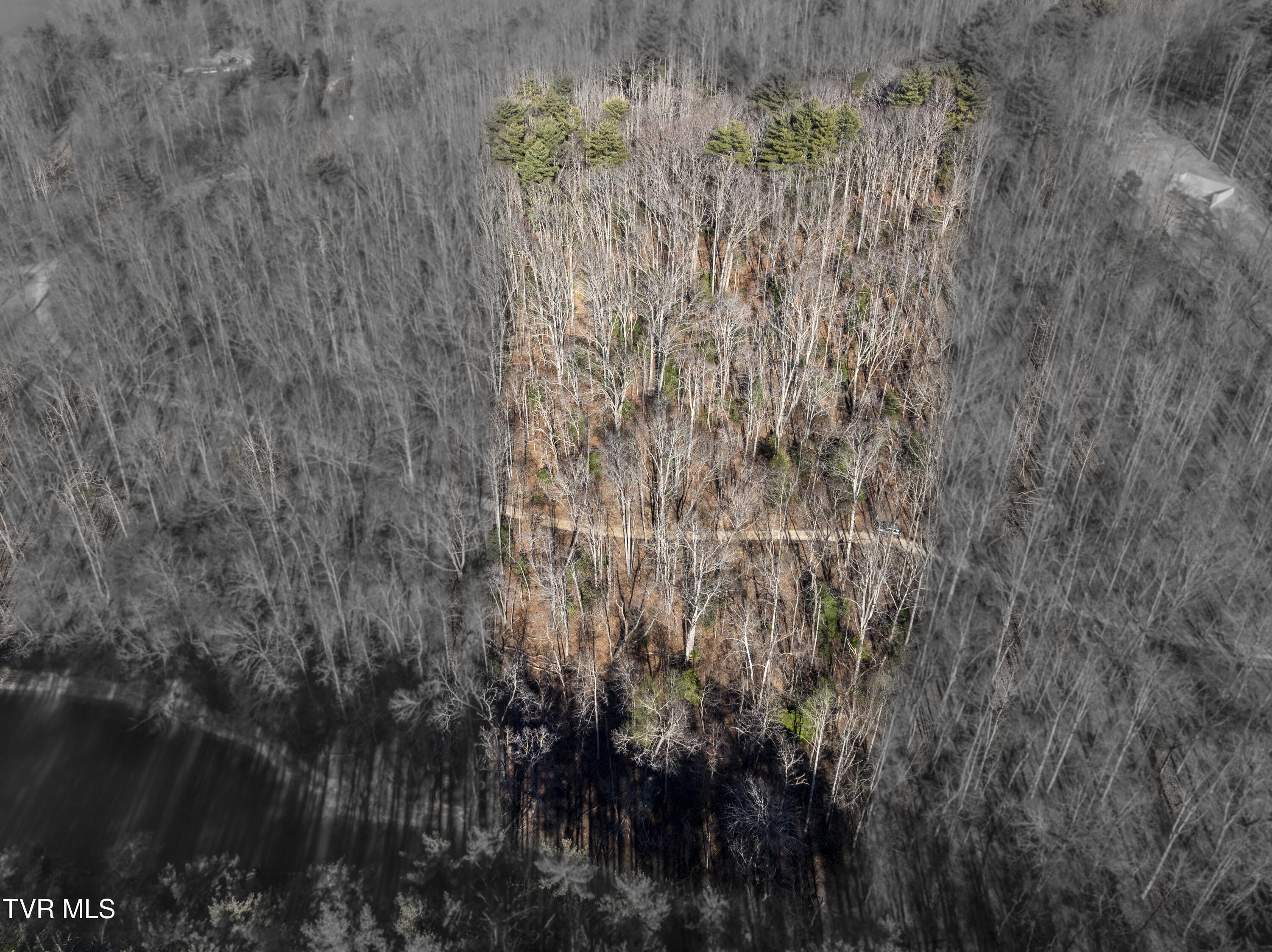 Tbd Atwood Point Butler, TN 37640 - Photo 24 of 24 Atwood-Aerials-24