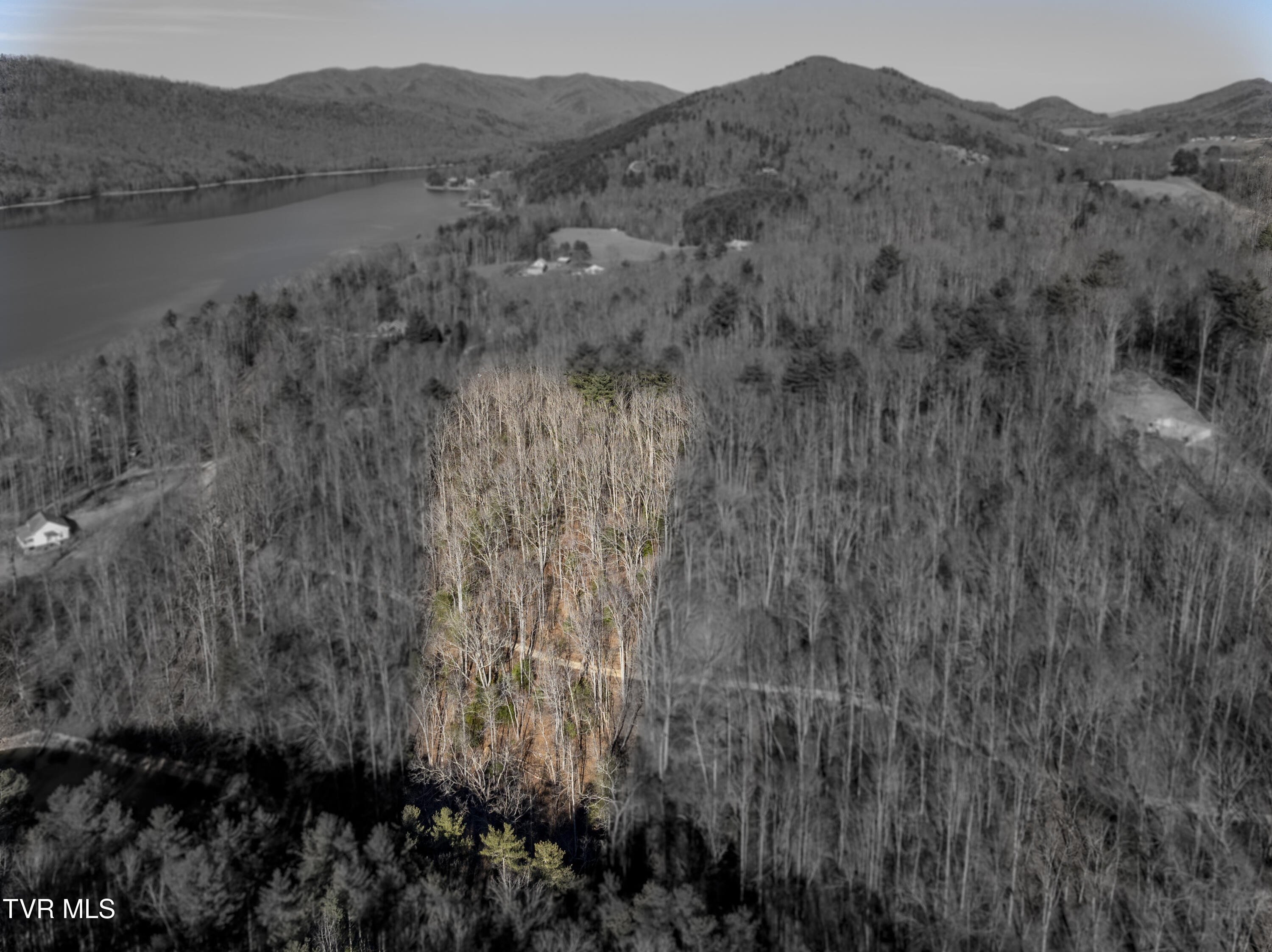 Tbd Atwood Point Butler, TN 37640 - Photo 9 of 24 Atwood-Aerials-9