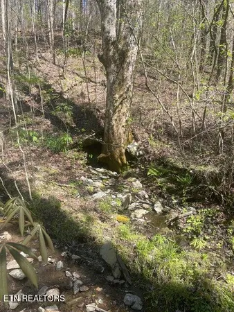$129,350 | Lot 1 Old Furnace Road, Tellico Plains, TN 37385