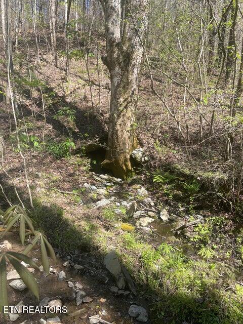Lot 1 Old Furnace Road Tellico Plains, TN 37385 - Photo 1 of 6 1