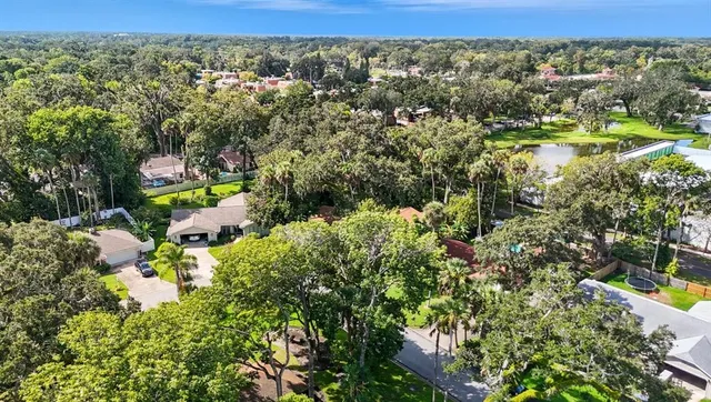 a view of a house with a yard plants and large tree