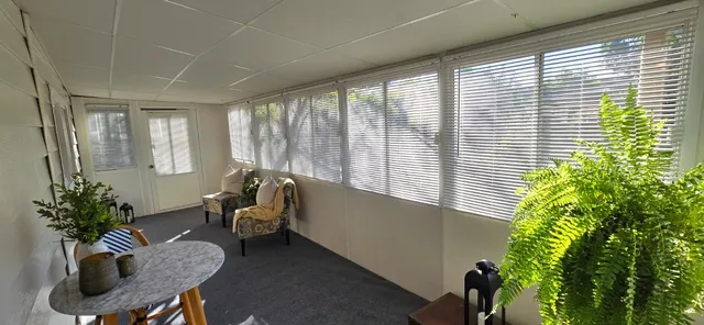 a living room with furniture and a potted plant