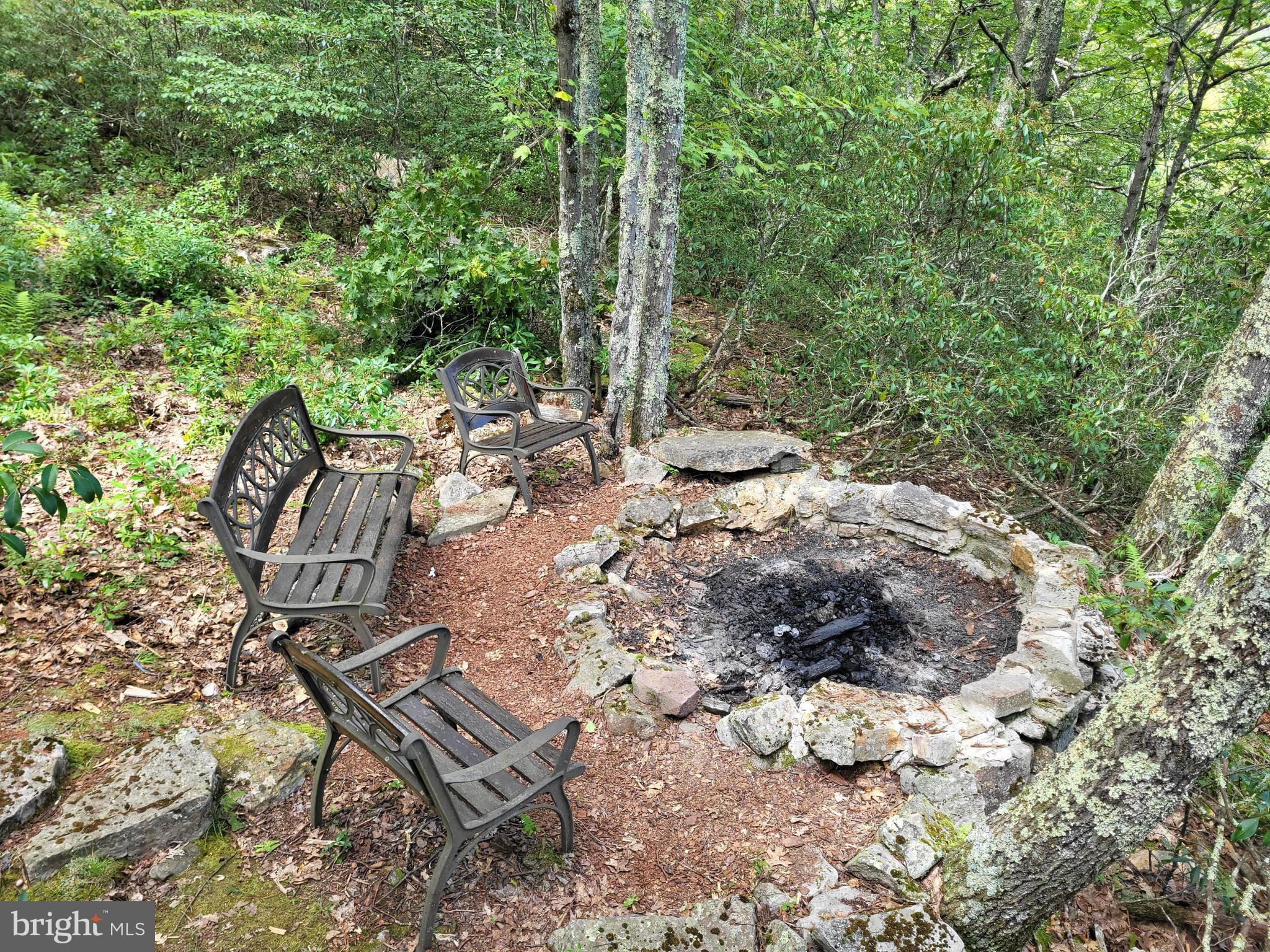 207 Lower Knob Road Franklin, WV 26807 - Photo 22 of 30