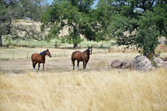 $1,200,000 | 605 Old Pontotoc Road, Mason, TX 76856