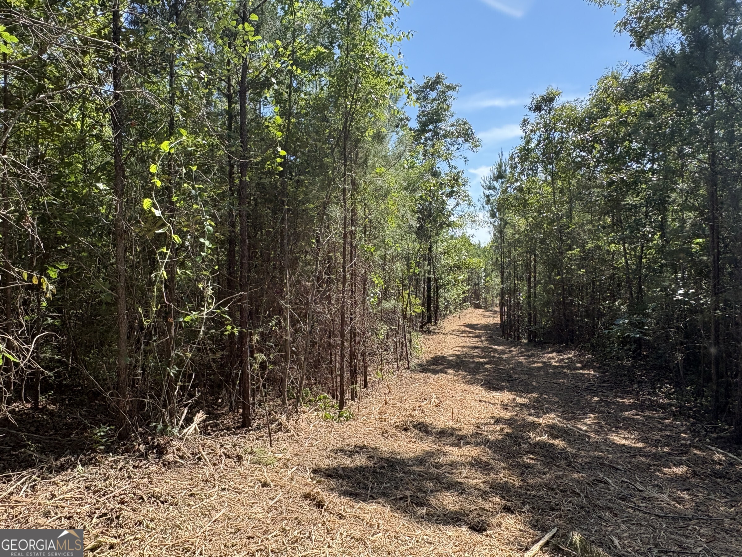 L6 North Indian Trail Road Sandersville, GA 31082 - Photo 4 of 8