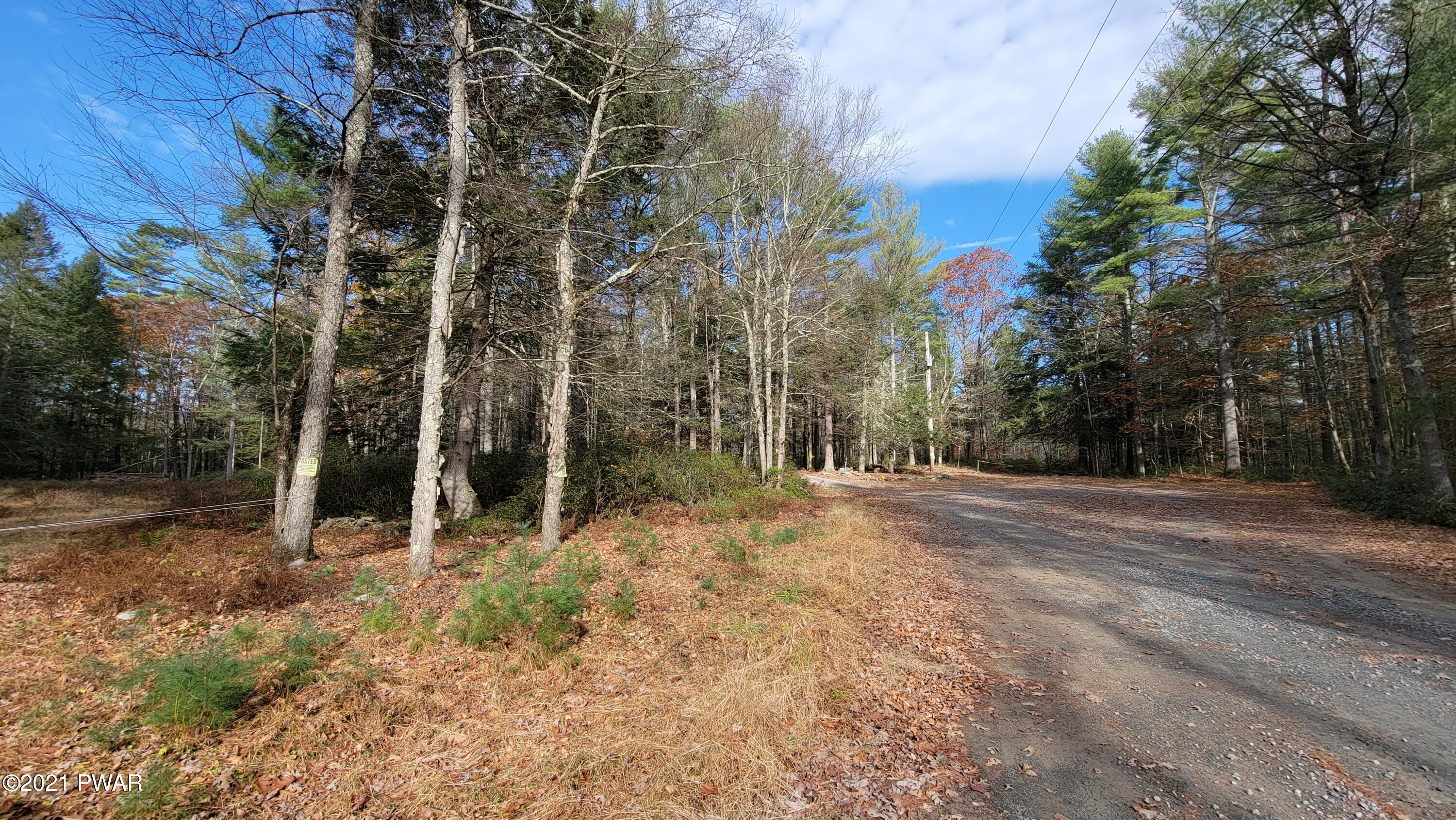 Lot 61 Perry Pond Road Narrowsburg, NY 12764 - Photo 7 of 19