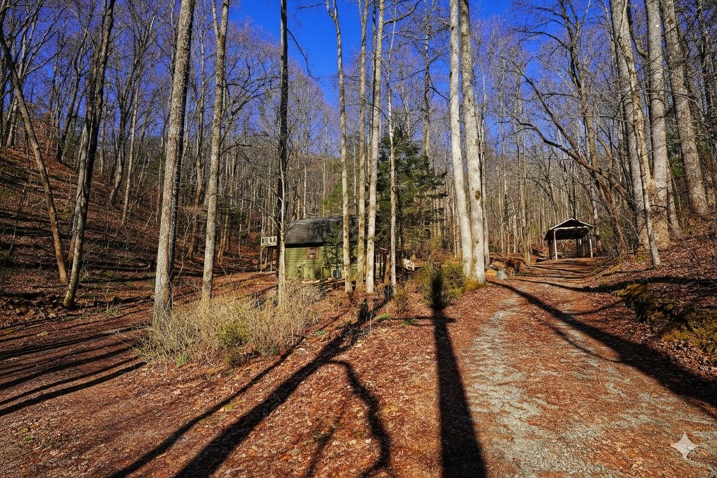 172 Sweetwater Road Cherry Log, GA 30522 - Photo 5 of 21 Gallery Image 5