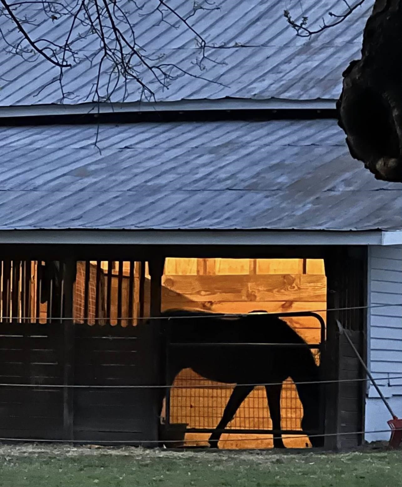 1927 Elevation Road Four Oaks, NC 27524 - Photo 38 of 48 Photo 38