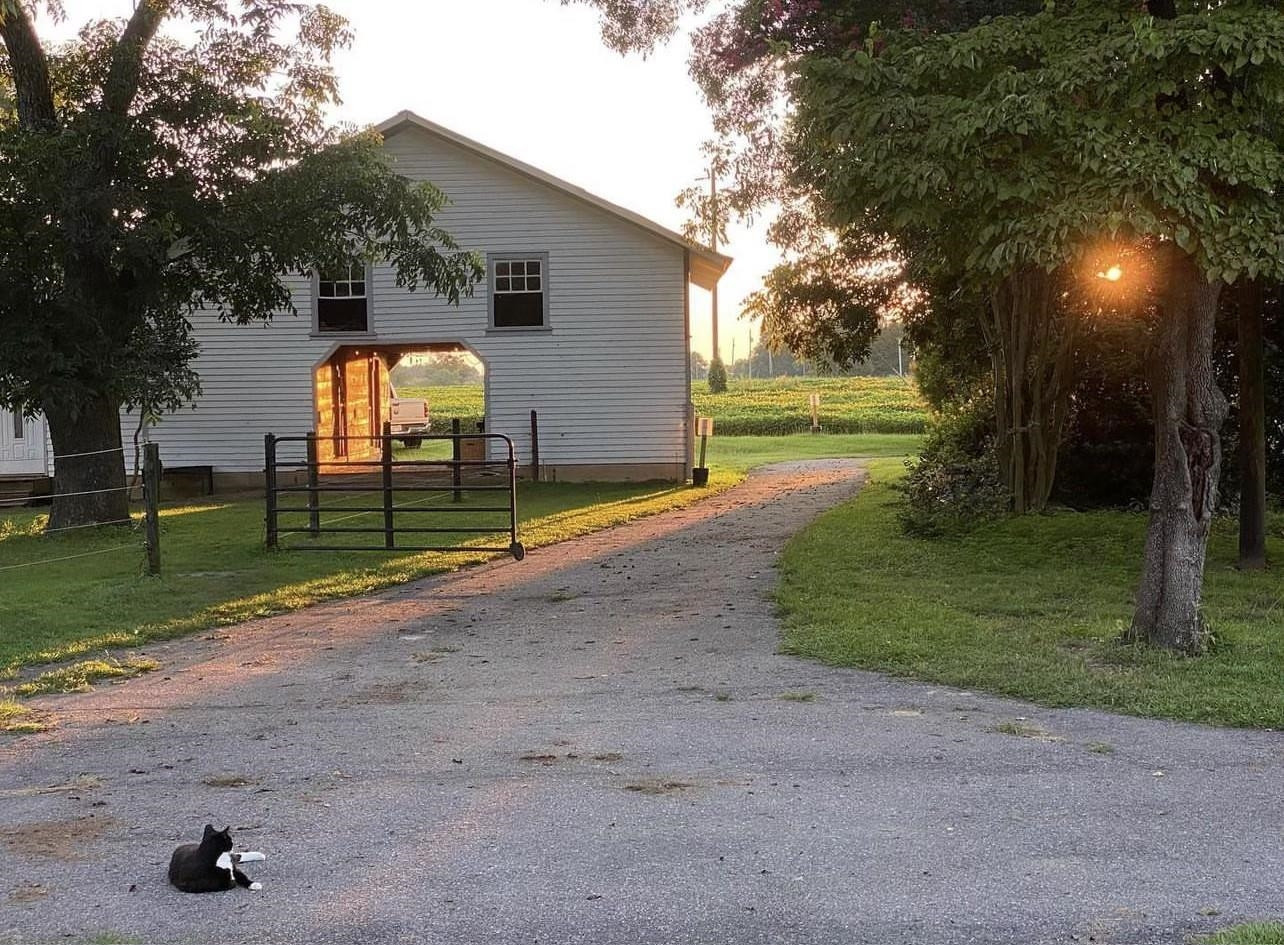1927 Elevation Road Four Oaks, NC 27524 - Photo 39 of 48 Photo 39