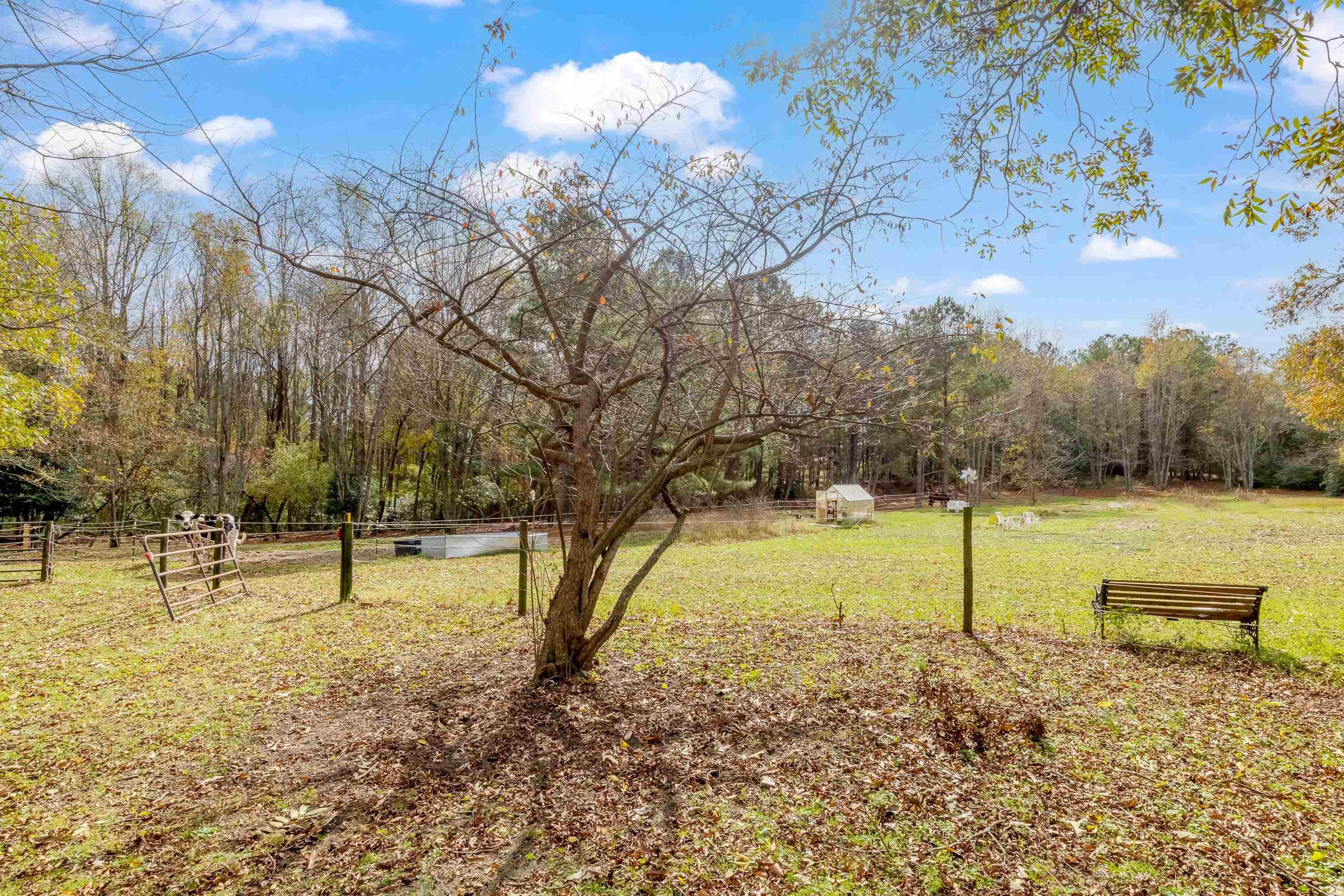 1927 Elevation Road Four Oaks, NC 27524 - Photo 42 of 48 Photo 42