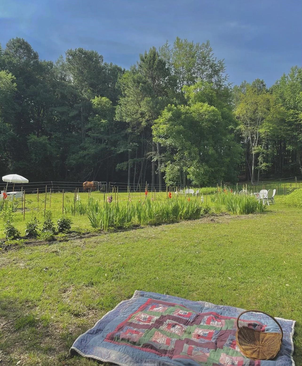 1927 Elevation Road Four Oaks, NC 27524 - Photo 43 of 48 Photo 44