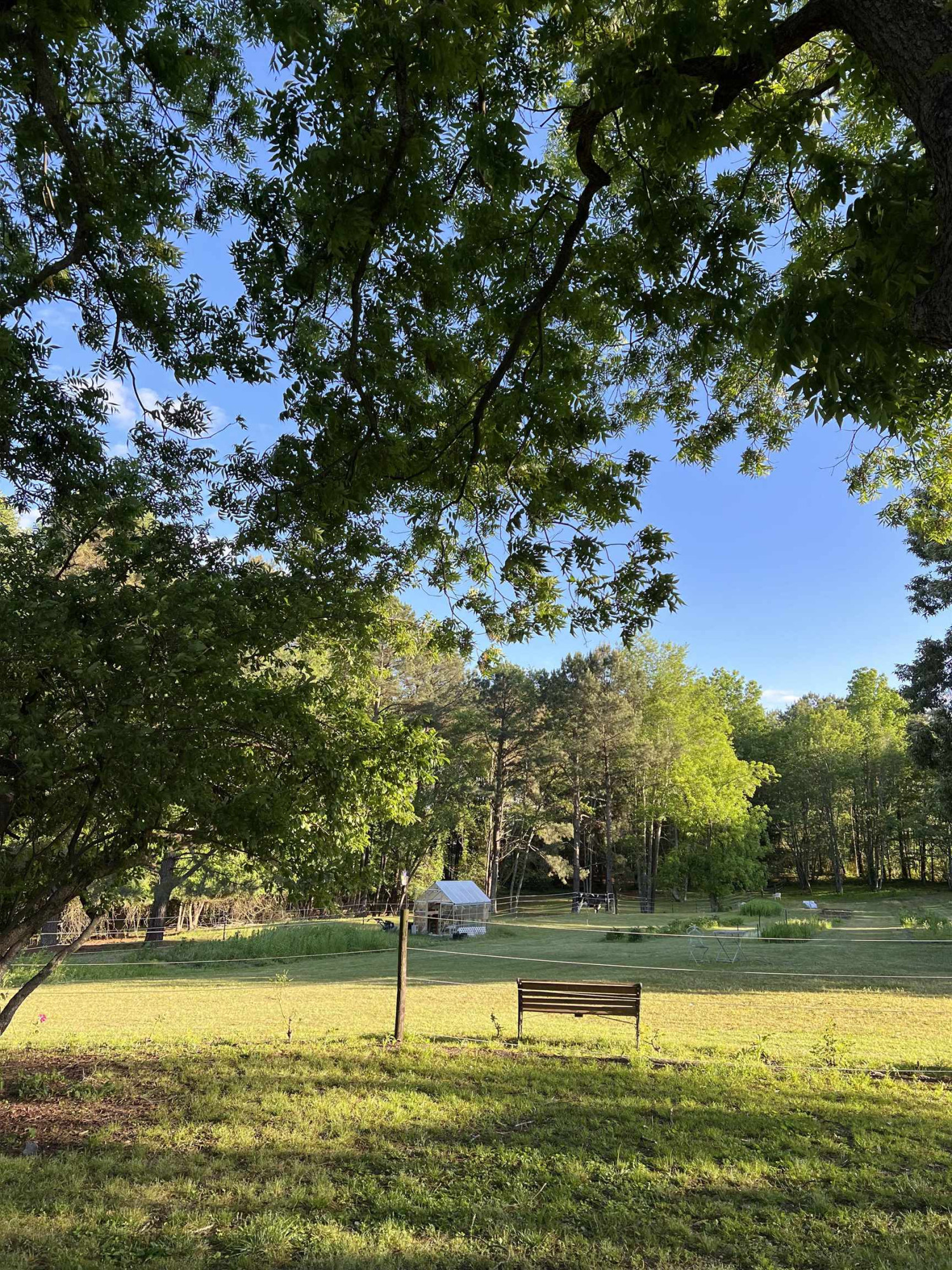 1927 Elevation Road Four Oaks, NC 27524 - Photo 44 of 48 Photo 45