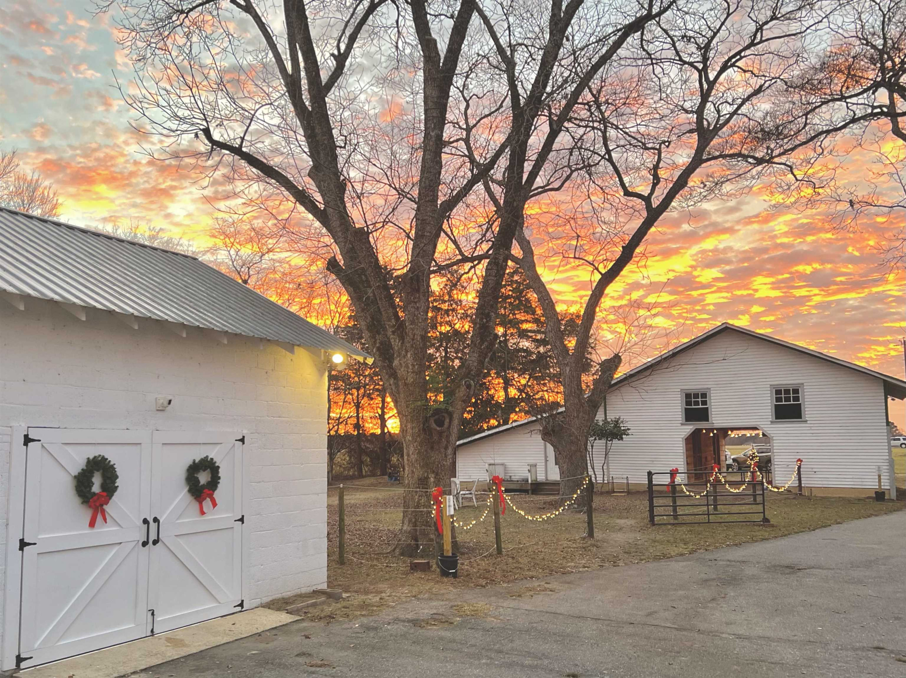 1927 Elevation Road Four Oaks, NC 27524 - Photo 7 of 48 Photo 7