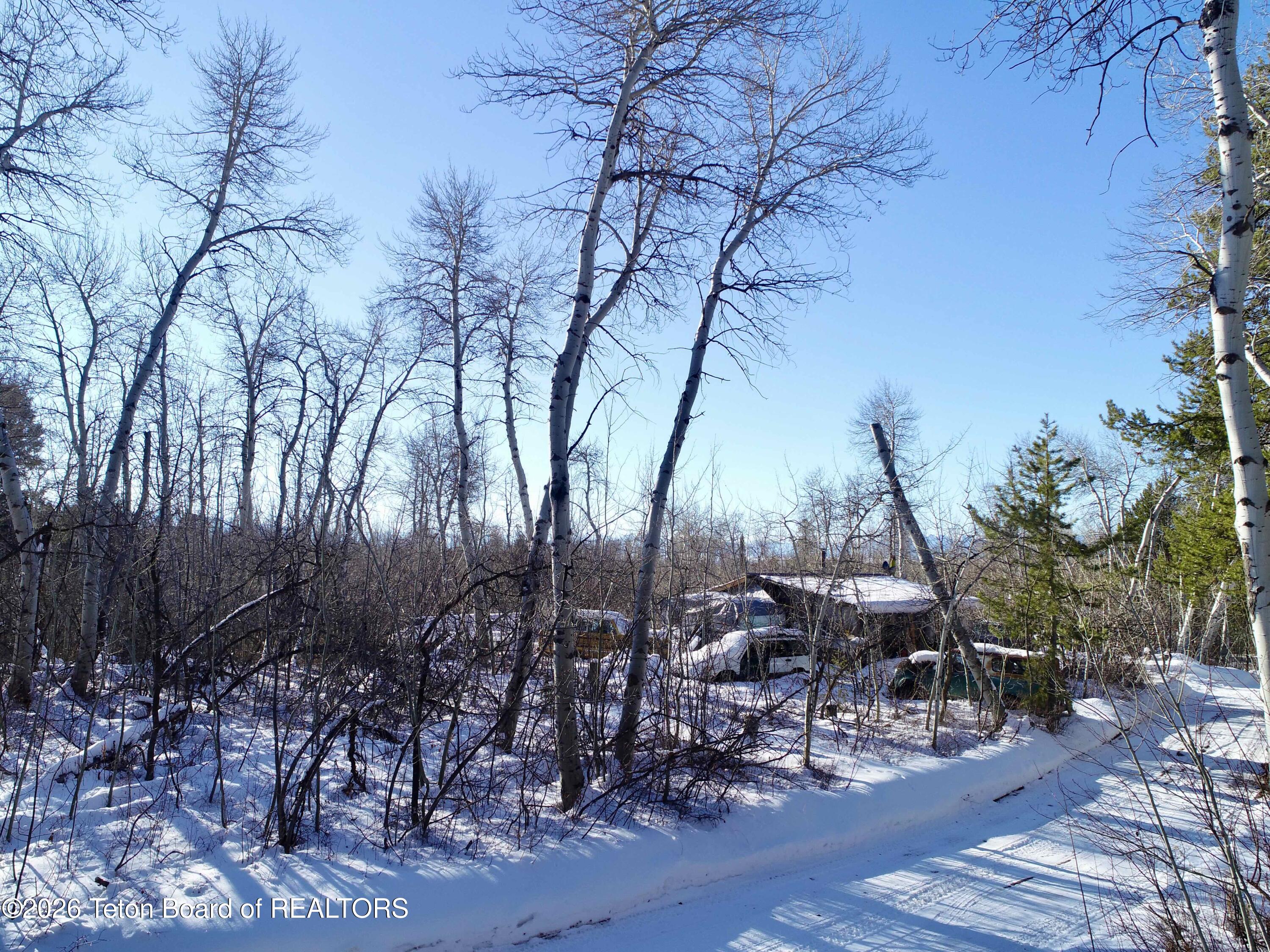 280 Wolverine Way Tetonia, ID 83452 - Photo 12 of 15 Nelson-0020 (2)