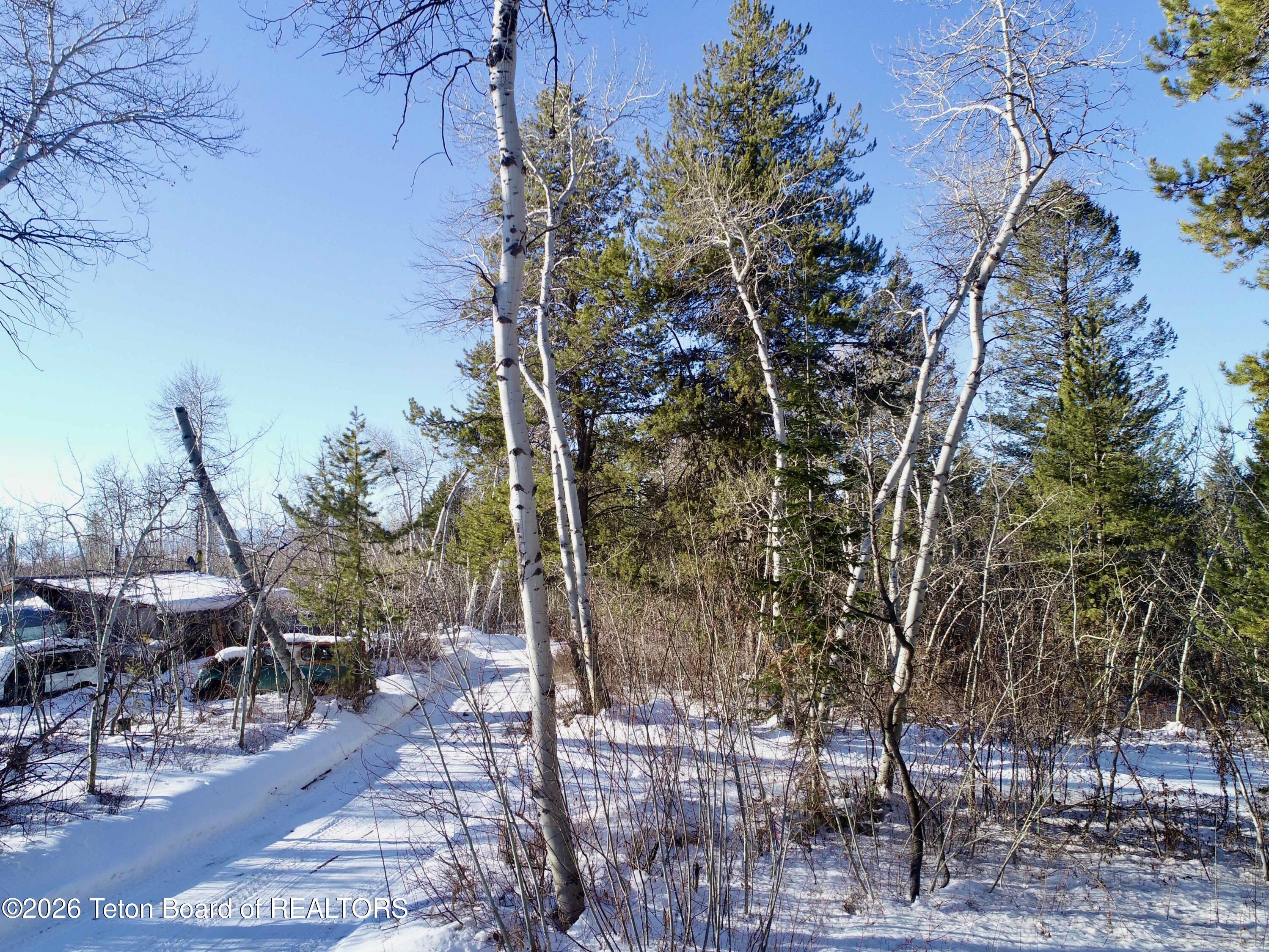 280 Wolverine Way Tetonia, ID 83452 - Photo 13 of 15 Nelson-0024