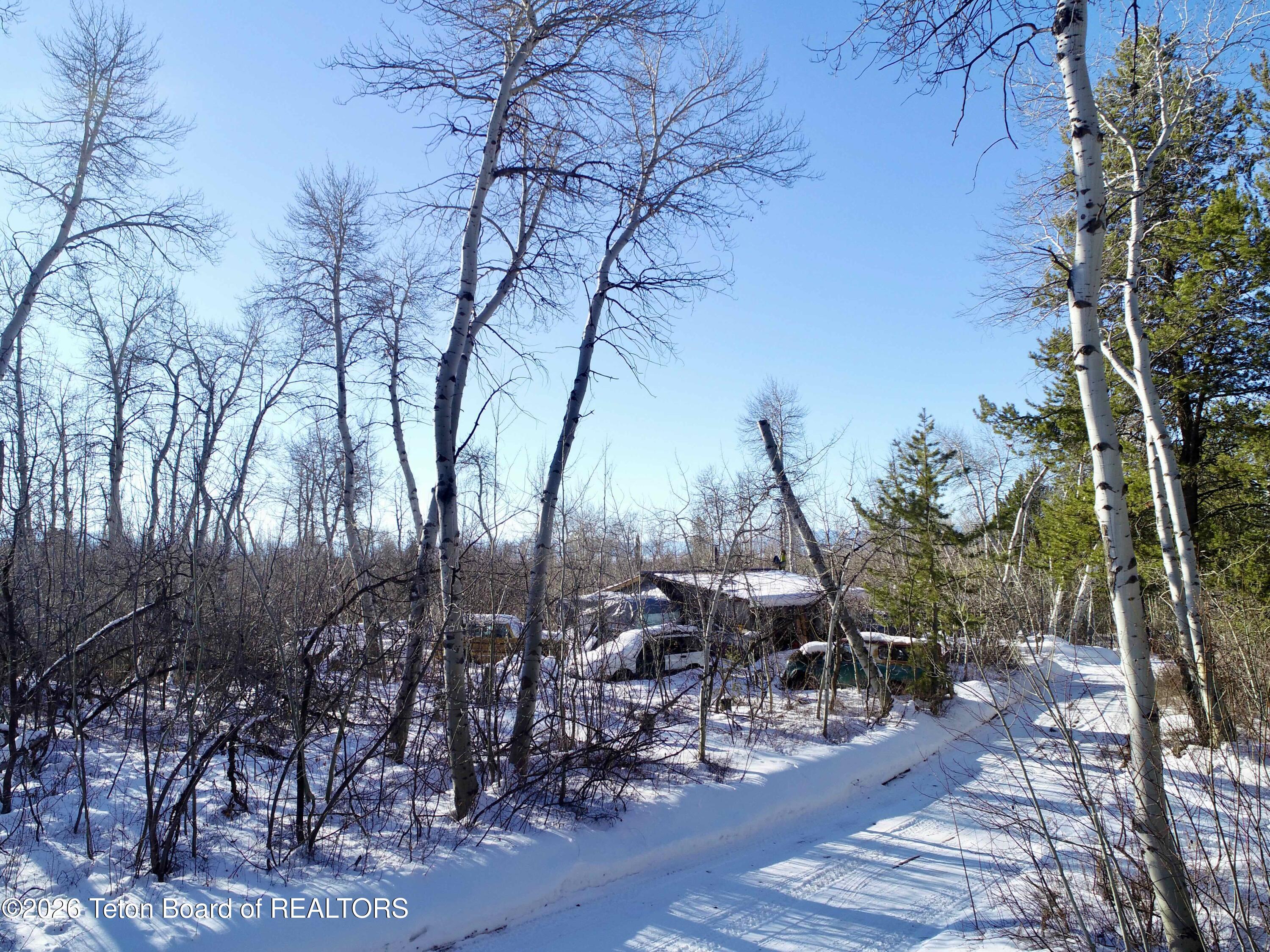 280 Wolverine Way Tetonia, ID 83452 - Photo 14 of 15 Nelson-0023