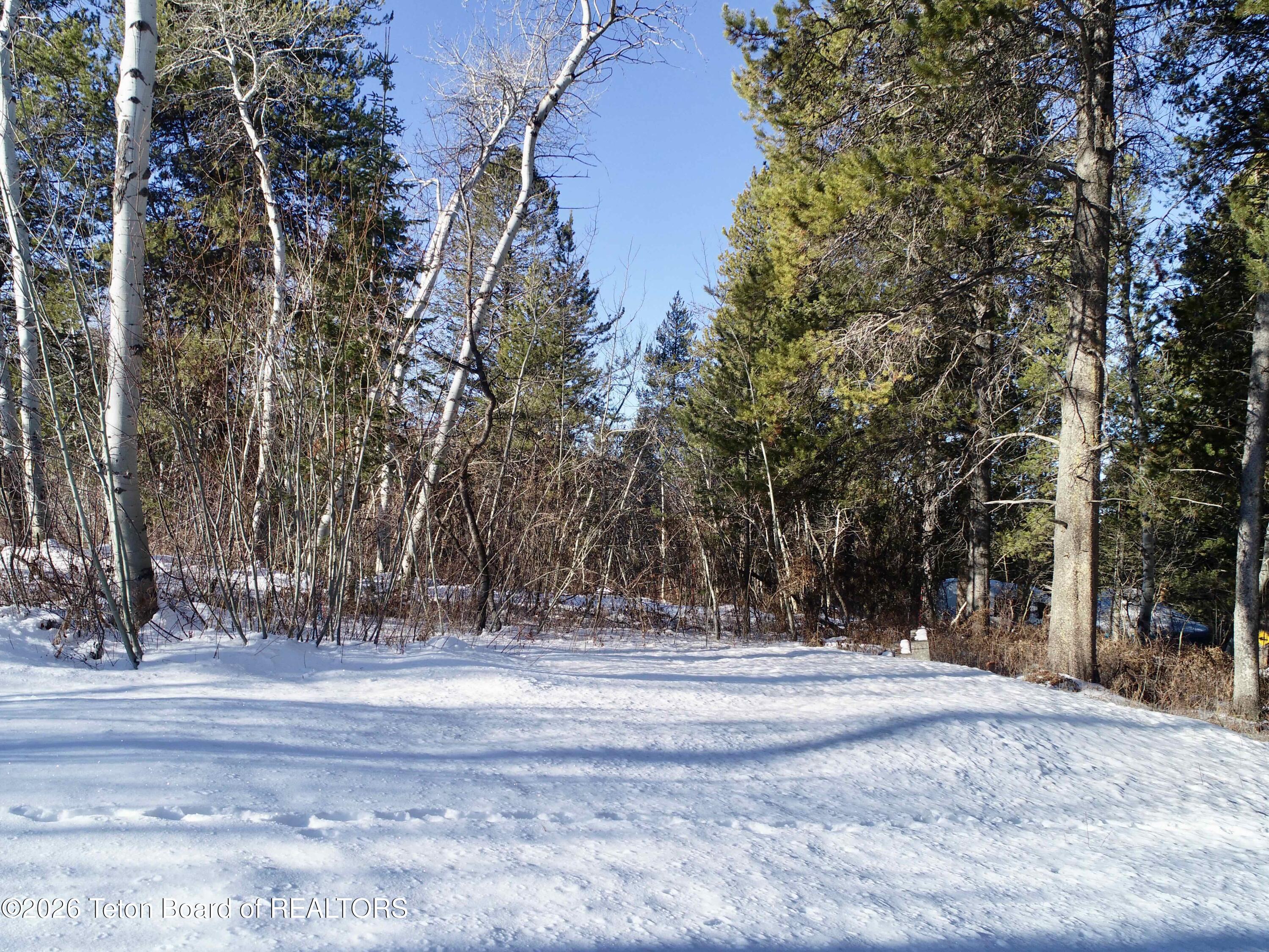 280 Wolverine Way Tetonia, ID 83452 - Photo 9 of 15 Nelson-0017 (5)