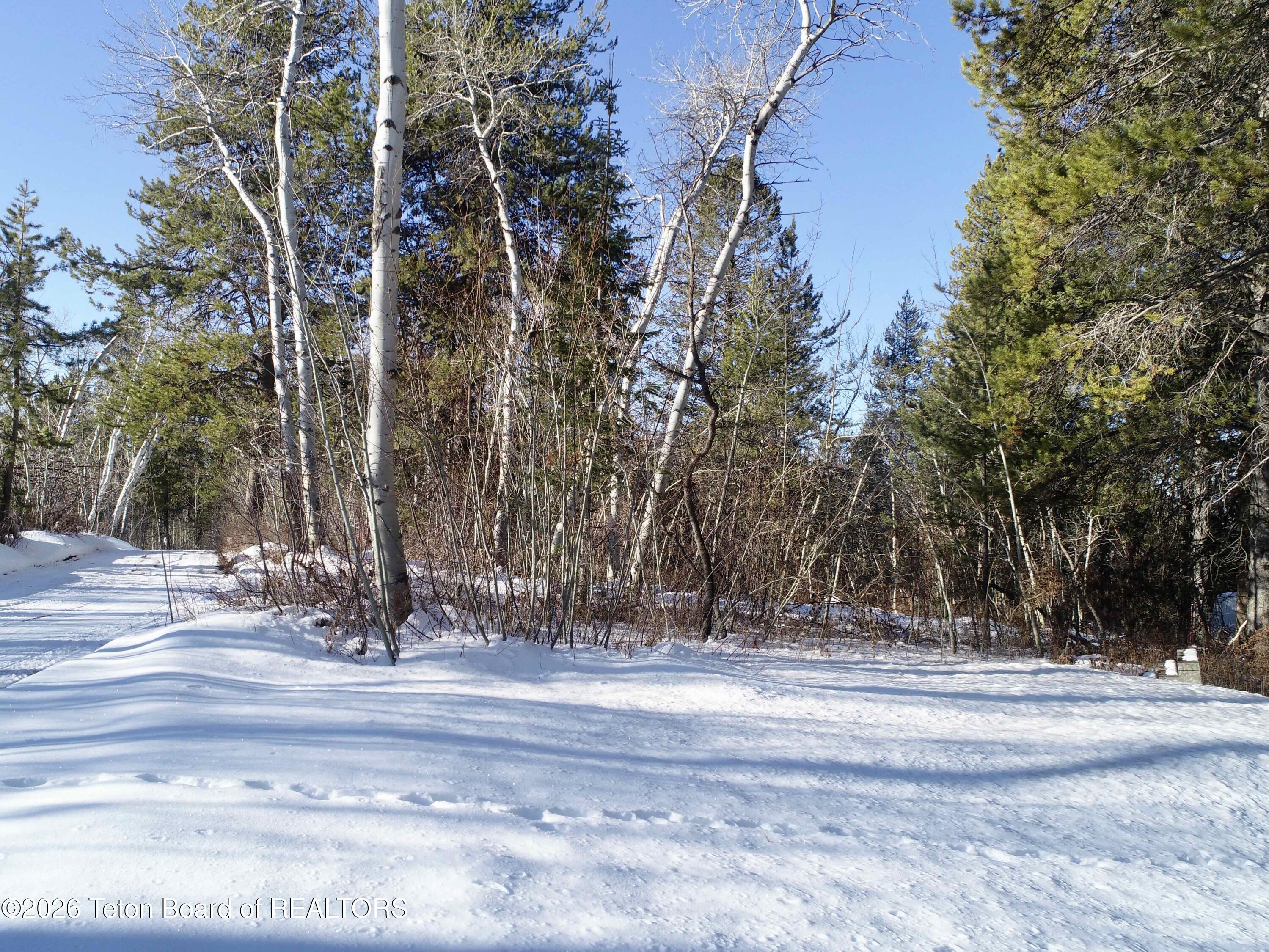 280 Wolverine Way Tetonia, ID 83452 - Photo 10 of 15 Nelson-0018 (4)