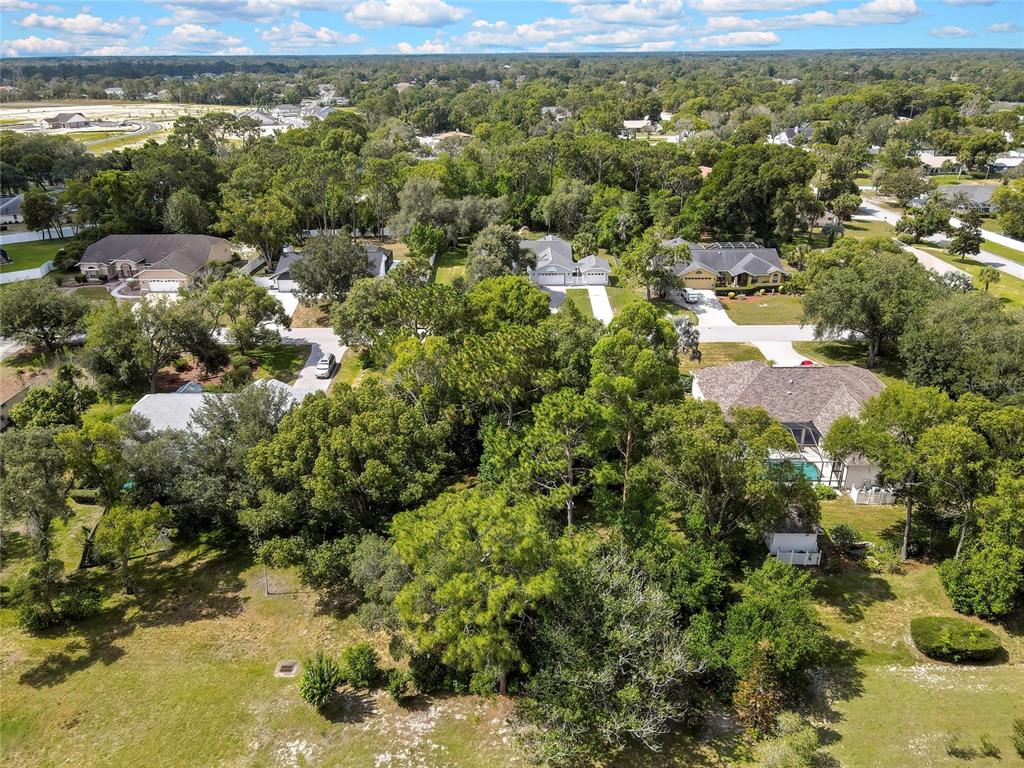 Orangewood Ct Spring Hill Spring Hill, FL 34609 - Photo 9 of 13